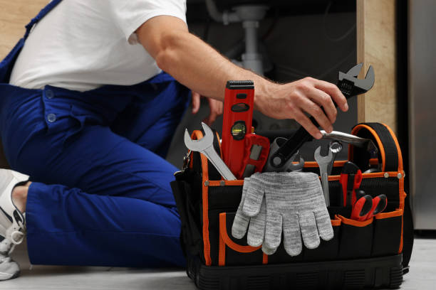 Best Local Plumber Services  in Wyldwood, TX